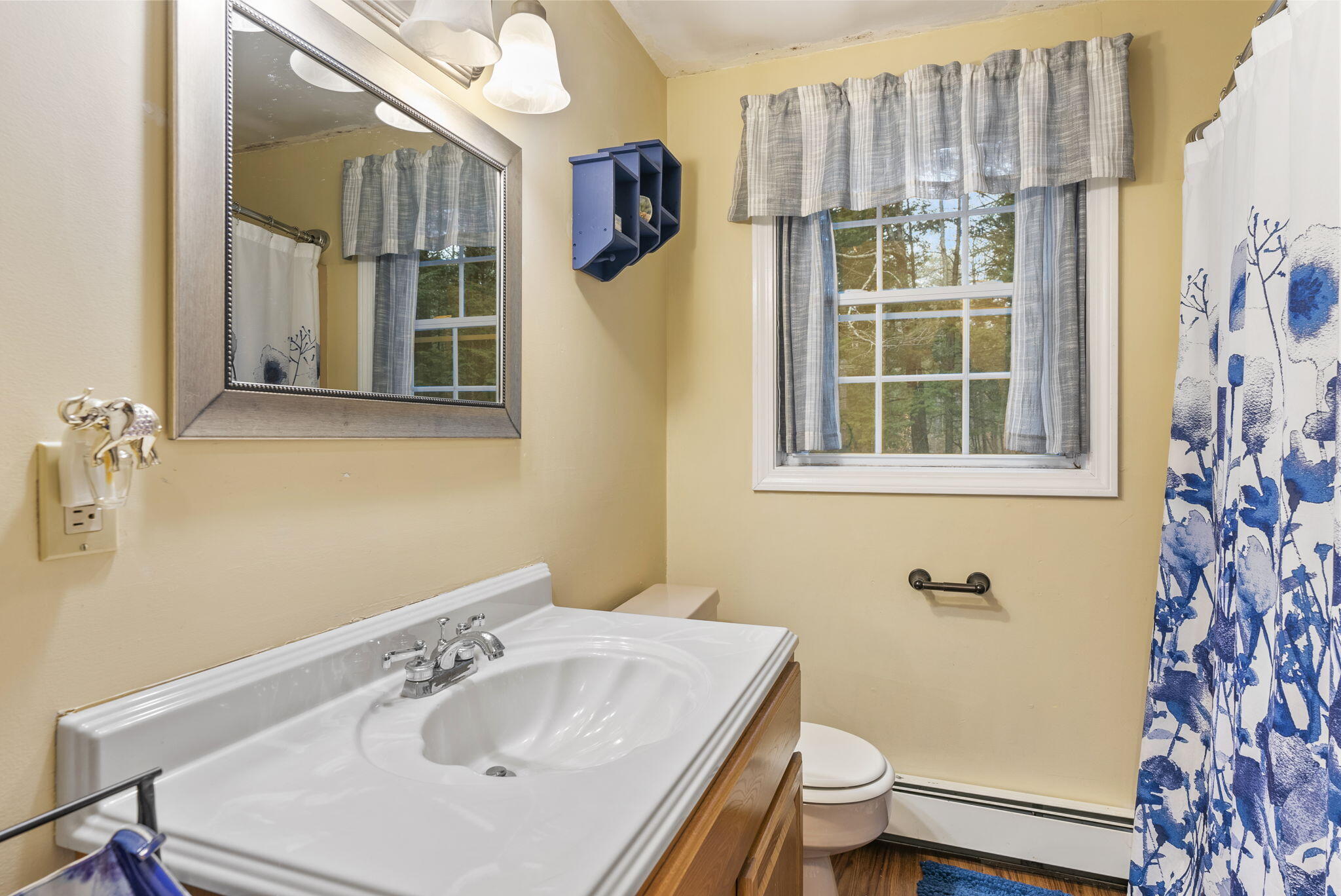49 New Road Casco, ME 04015 - Photo 25 of 28 39-web-or-mls-DSC00396