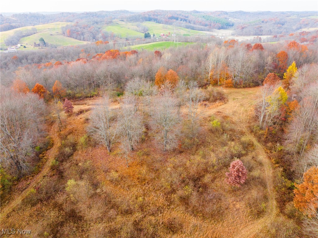 1239 Township Road Dresden, OH 43821 - Photo 47 of 50 View of mountain backdrop with a heavily wooded area