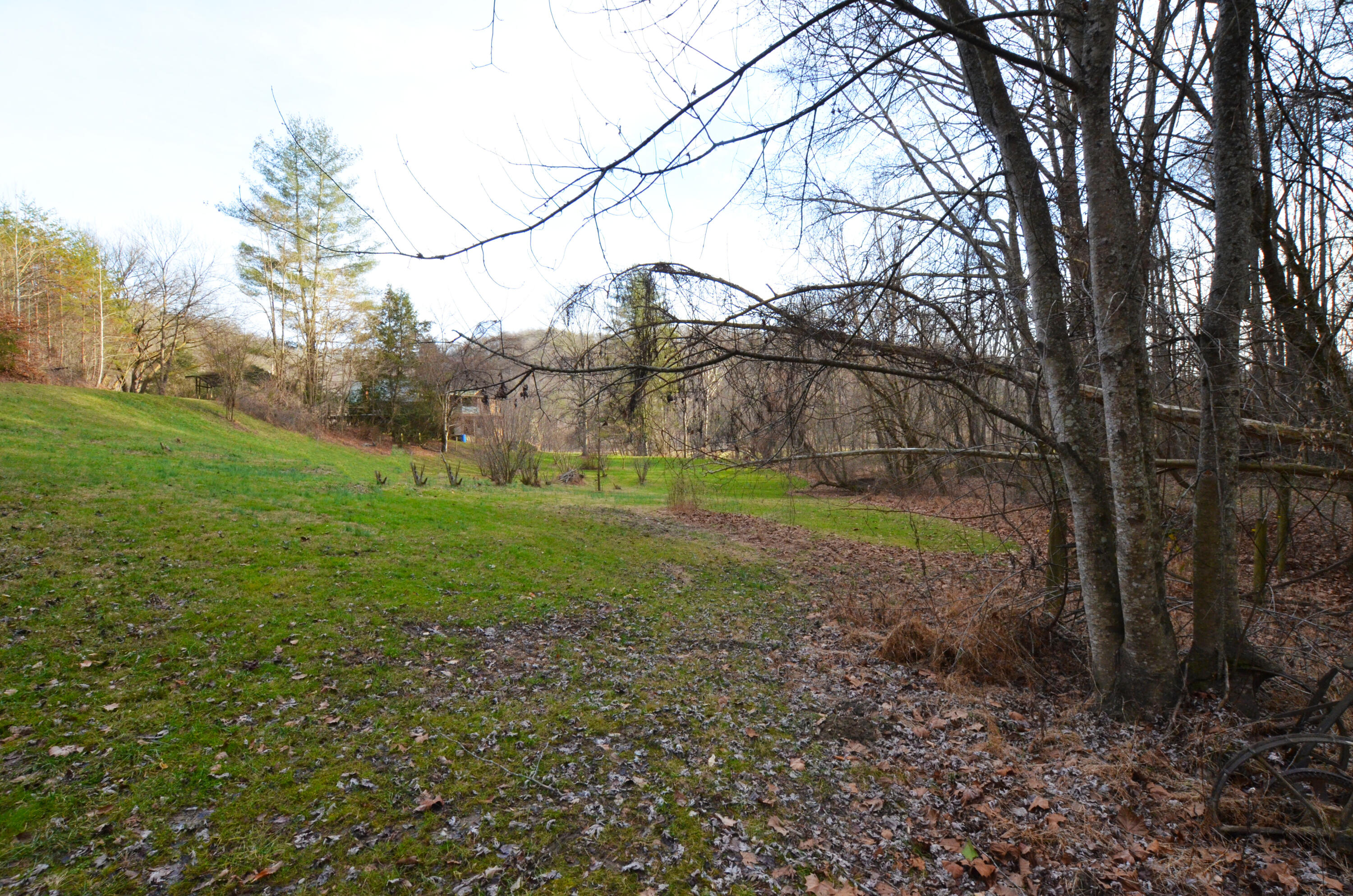 11907 Old Landing Road Irvine, KY 40336 - Photo 99 of 130 Back down to the fields!