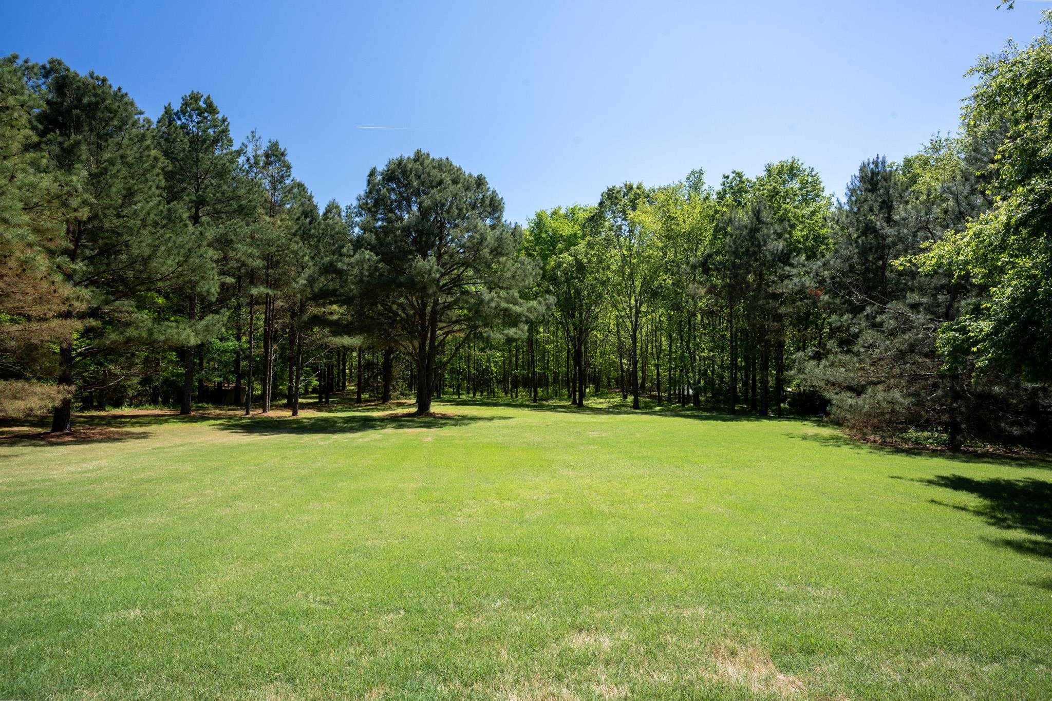 12035 Raleigh Lagrange Road East Eads, TN 38028 - Photo 33 of 37 What a view! The sellers did a fabulous job in the clearing of the land when they built this house. You have a wonderful green open space that looks out to your own personal woods!