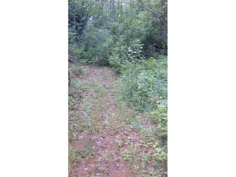 0 Notch Road Dover-Foxcroft, ME 04426 - Photo 16 of 24 Photo