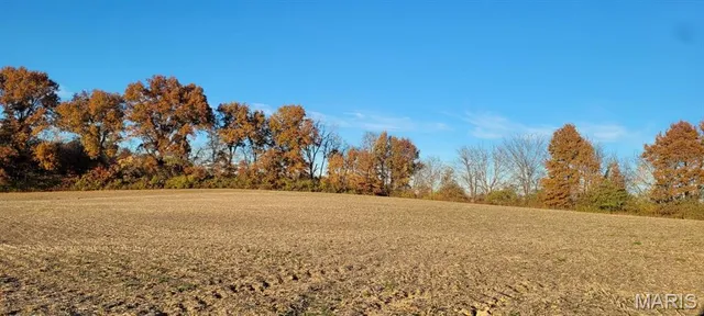 $625,000 | Undisclosed Address, St. Jacob, IL 62281