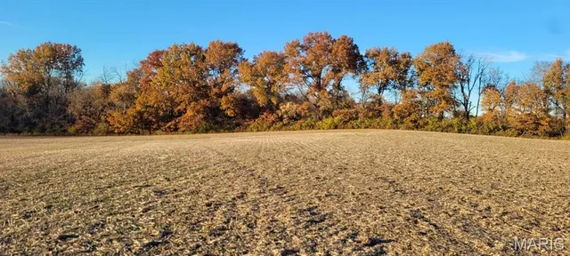 $625,000 | Undisclosed Address, St. Jacob, IL 62281