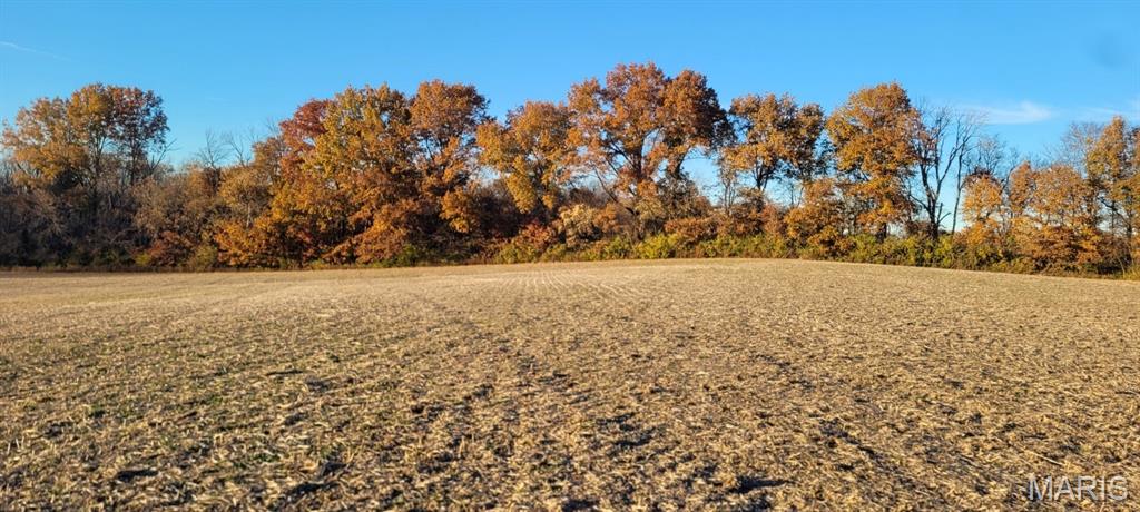 Undisclosed Address St. Jacob, IL 62281 - Photo 13 of 19