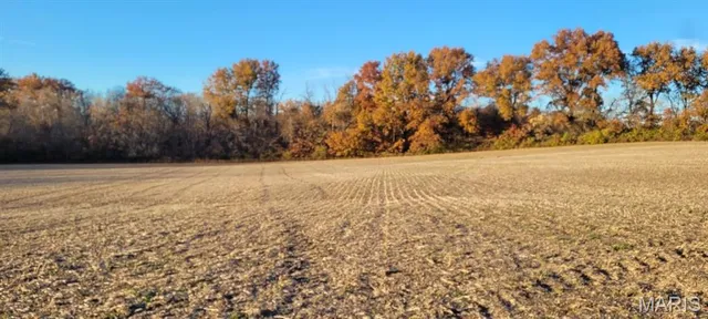 $625,000 | Undisclosed Address, St. Jacob, IL 62281