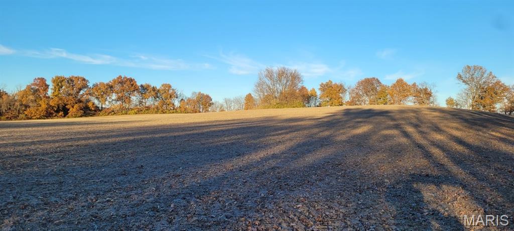 Undisclosed Address St. Jacob, IL 62281 - Photo 15 of 19