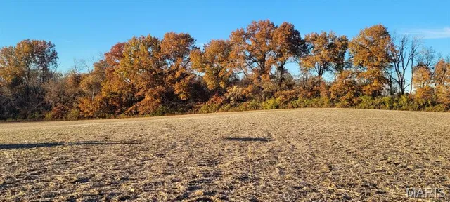 $625,000 | Undisclosed Address, St. Jacob, IL 62281