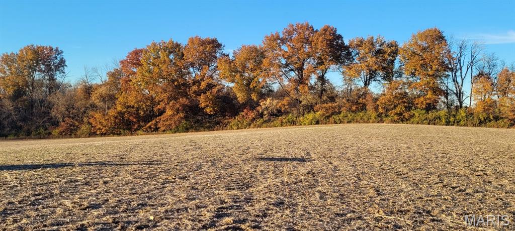 Undisclosed Address St. Jacob, IL 62281 - Photo 16 of 19