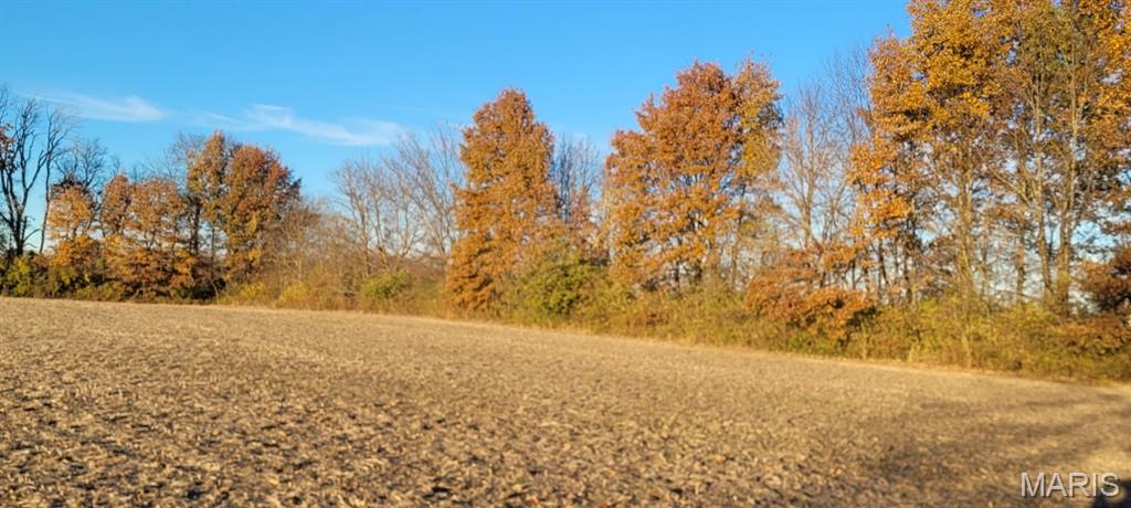 Undisclosed Address St. Jacob, IL 62281 - Photo 18 of 19