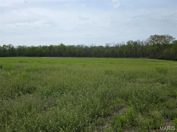 $625,000 | Undisclosed Address, St. Jacob, IL 62281