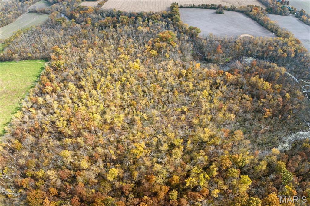 Undisclosed Address St. Jacob, IL 62281 - Photo 9 of 19