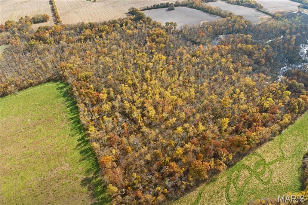 Undisclosed Address St. Jacob, IL 62281 - Photo 10 of 19