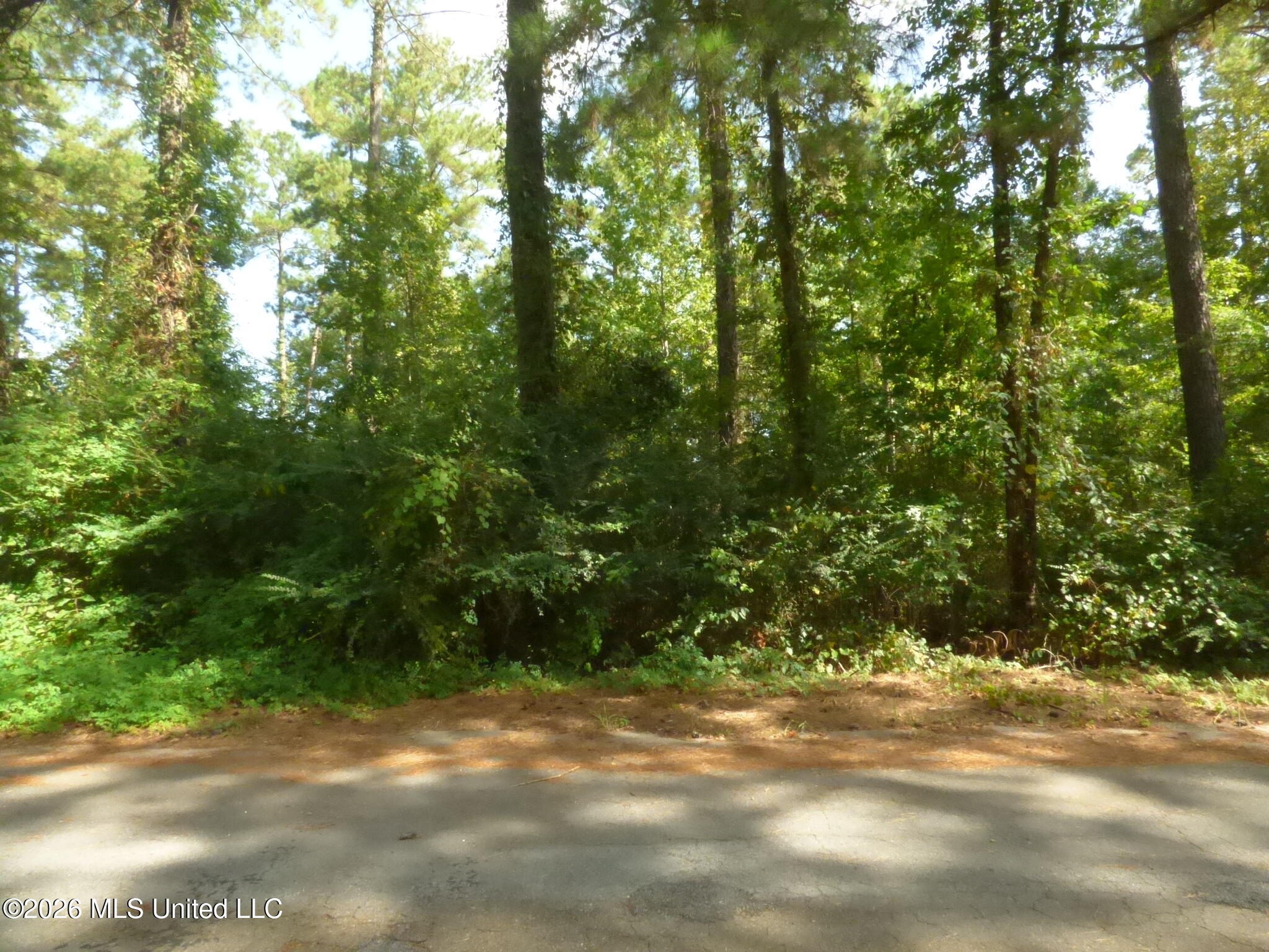 Cedar Drive Monticello, MS 39654 - Photo 1 of 5 P1350881
