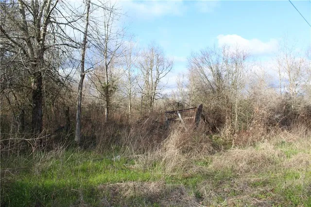 $89,000 | 0 Highway 1049 Highway, Kentwood, LA 70444