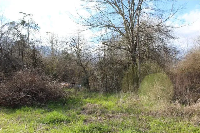 $89,000 | 0 Highway 1049 Highway, Kentwood, LA 70444