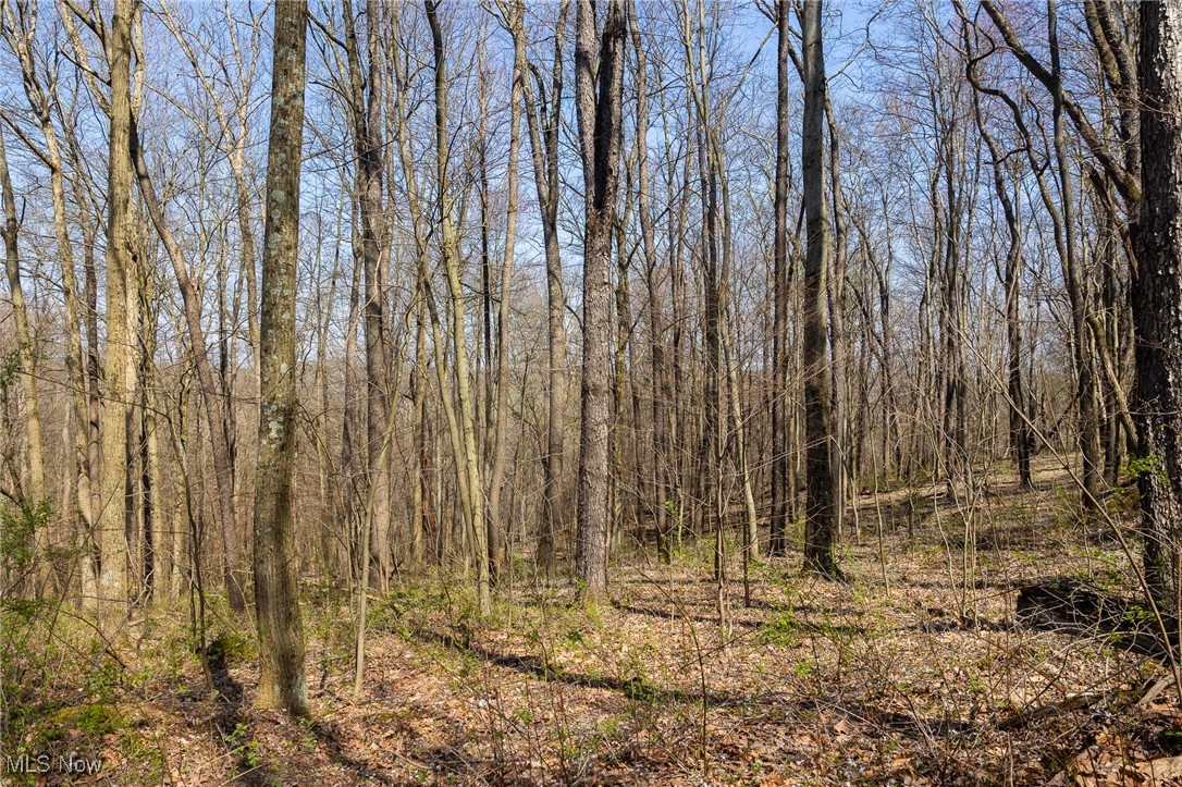 4880 Post Road Jewett, OH 43986 - Photo 19 of 50 Gallery Image 19