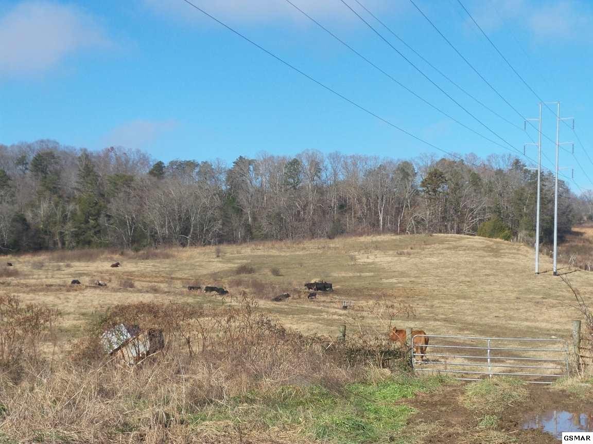 0 Dalton Road New Market, TN 37820 - Photo 19 of 27 Gallery Image 19
