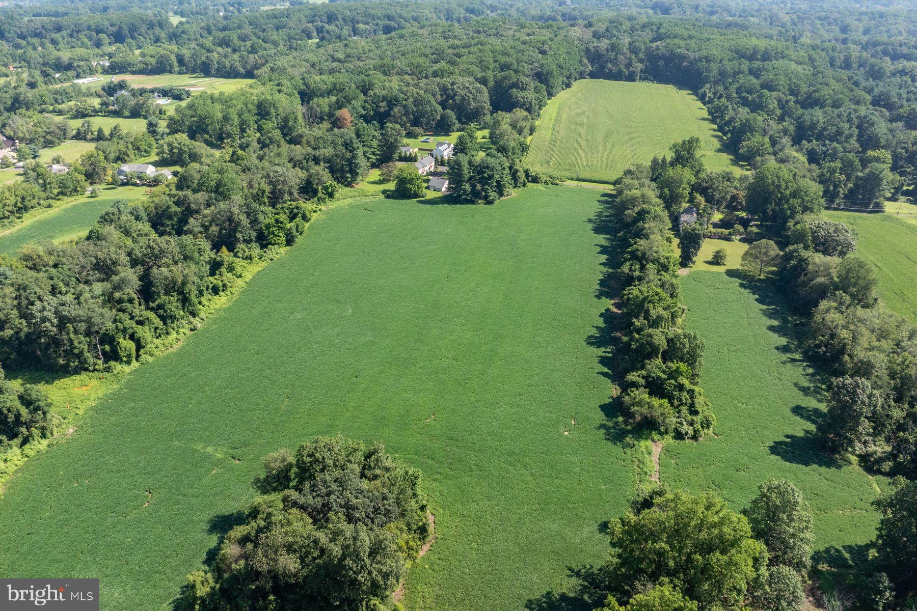 3087 Creamery Road New Hope, PA 18938 - Photo 68 of 68 a view of a garden