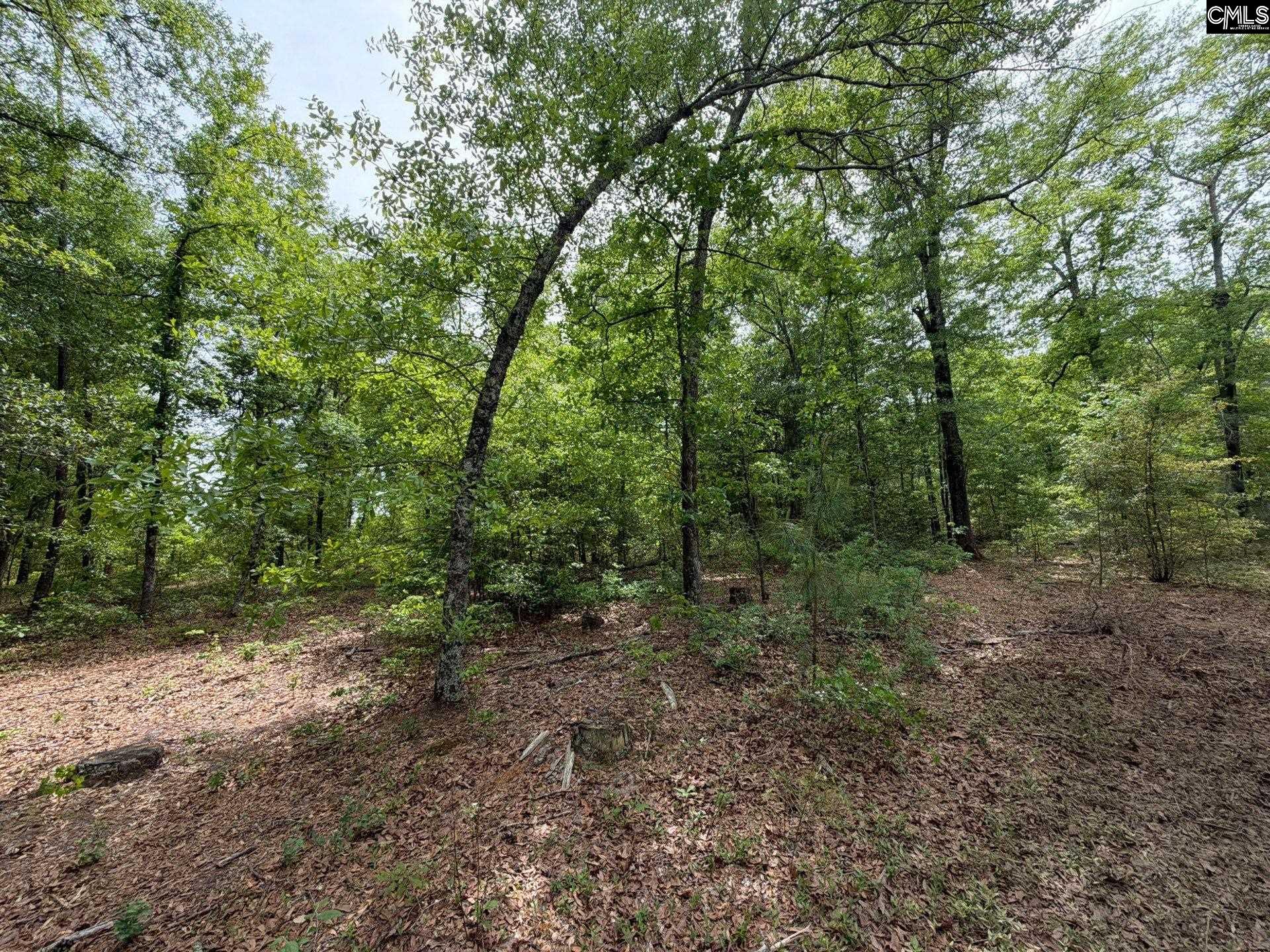 2 Rogers Cemetery Road Aiken, SC 29801 - Photo 24 of 26