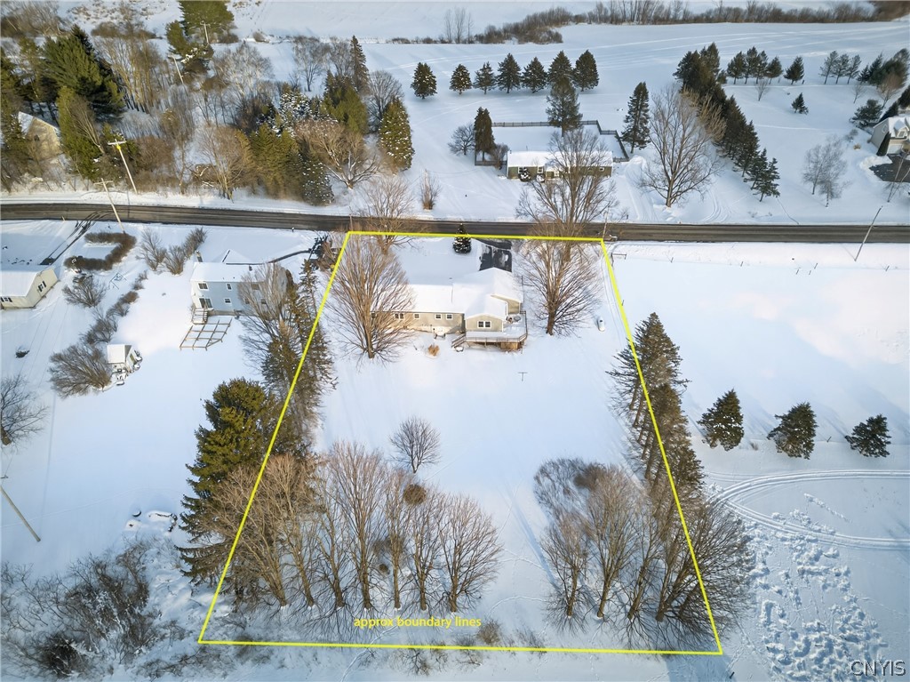 639 Babcock Road Tully, NY 13159 - Photo 4 of 41