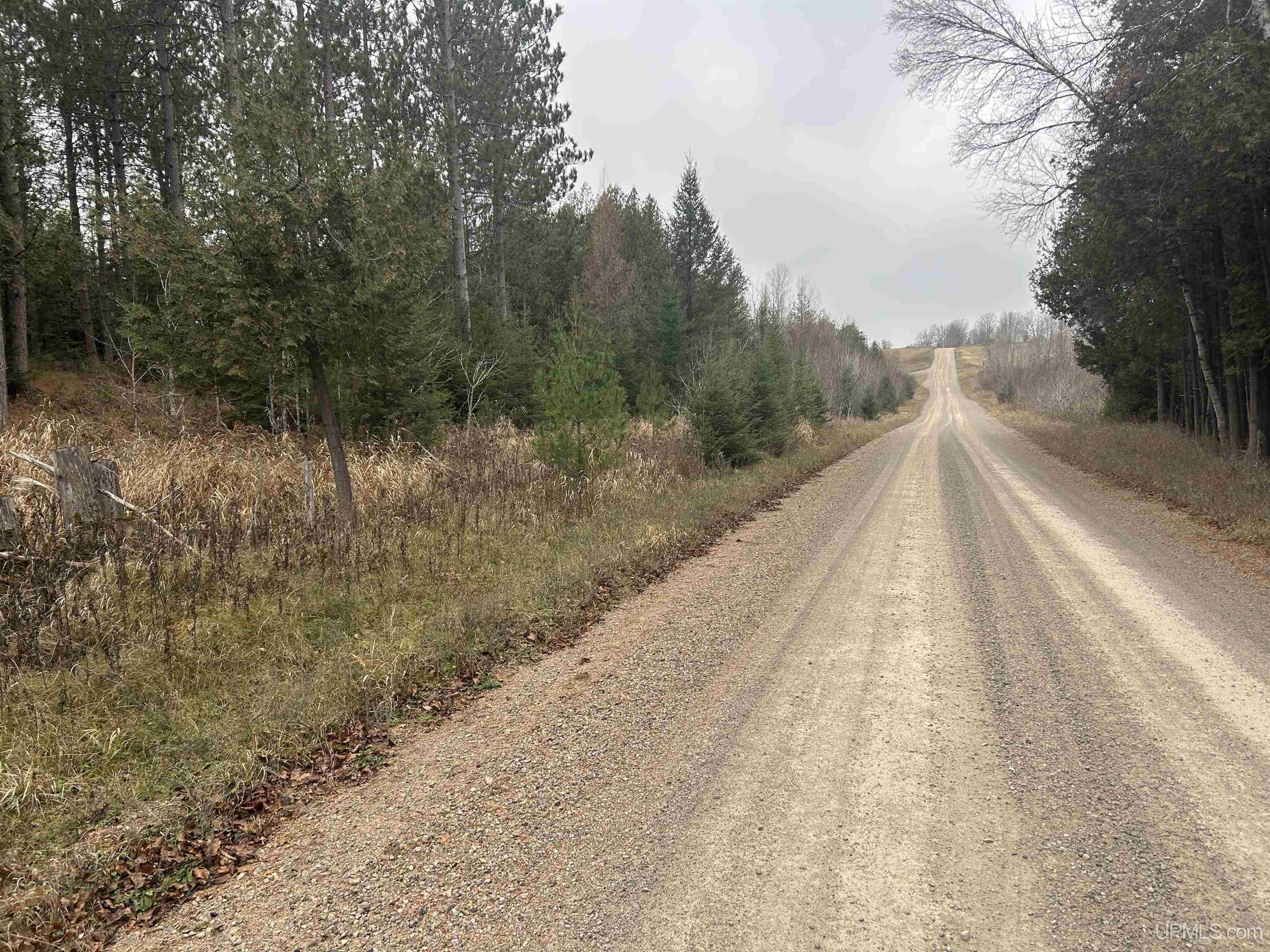 W4777 Lahay Road Daggett, MI 49821 - Photo 40 of 67