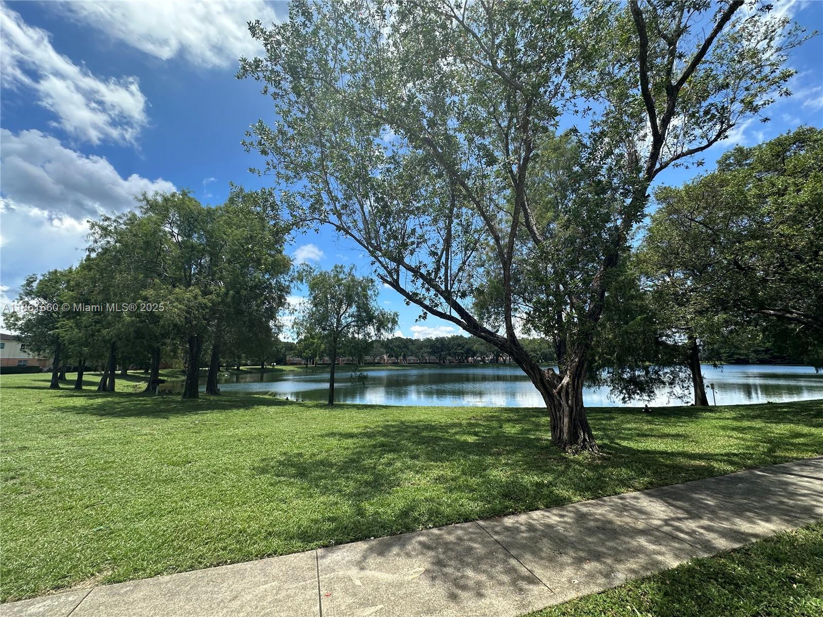 Playland Hollywood, FL 33021 - Photo 17 of 18 a view of a park with large trees