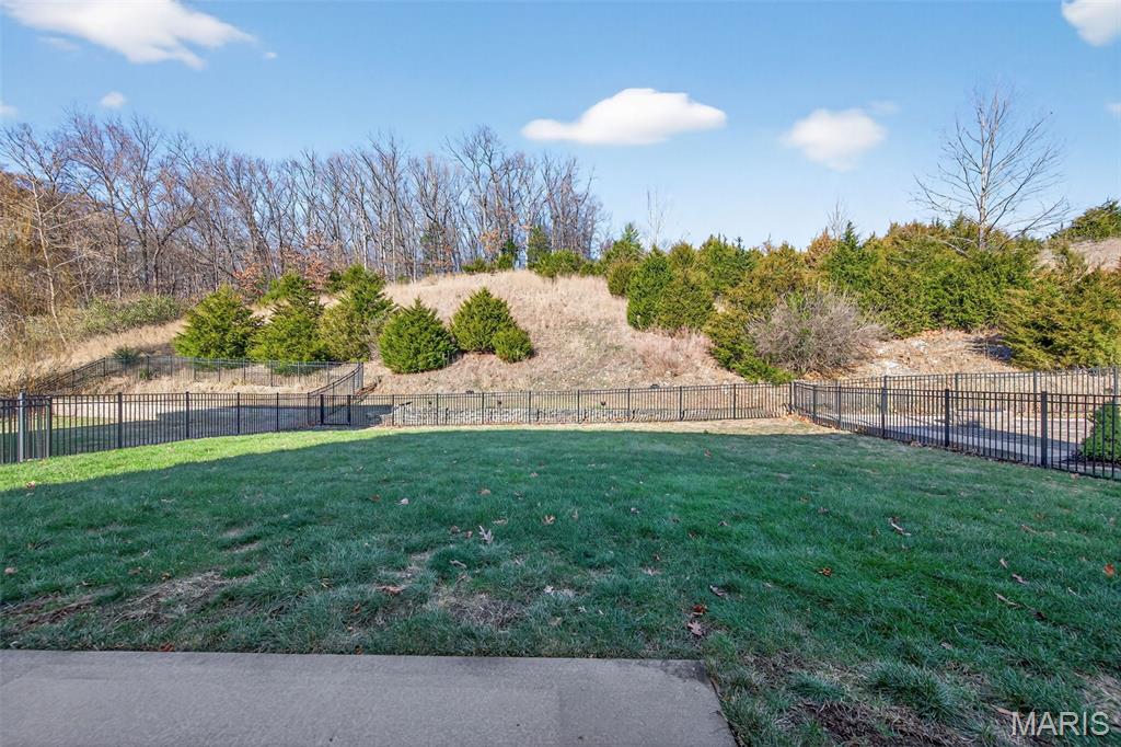 2276 Appaloosa Trail High Ridge, MO 63049 - Photo 30 of 36