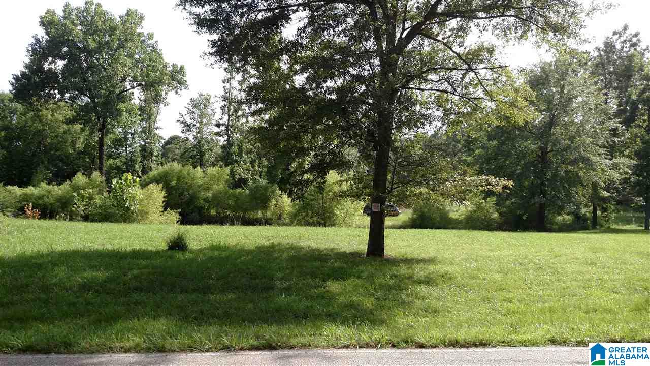 63 Highway, Unit 1ACRE Jemison, AL 35085 - Photo 3 of 3