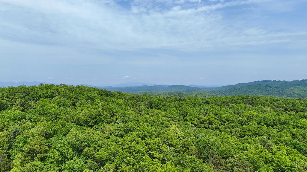 0 Hialeah Way Murphy, NC 28906 - Photo 1 of 12 Main View