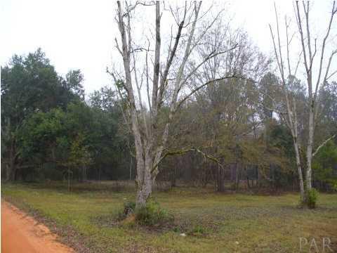 0 Jerkins Road Repton, AL 36475 - Photo 6 of 6 Side view of the property.