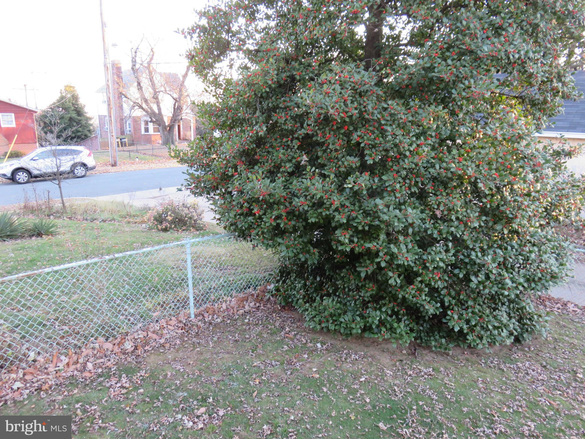 3347 Moravia Road Baltimore, MD 21214 - Photo 3 of 19 View from Rear