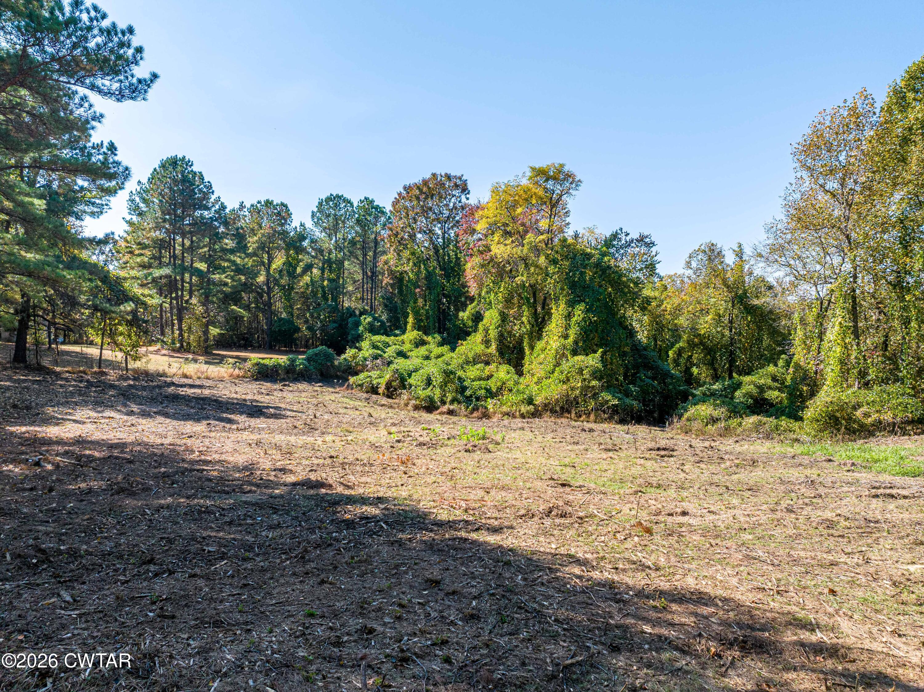 568 Baker Road Huntingdon, TN 38344 - Photo 11 of 21 a backyard of a house with lots of green space