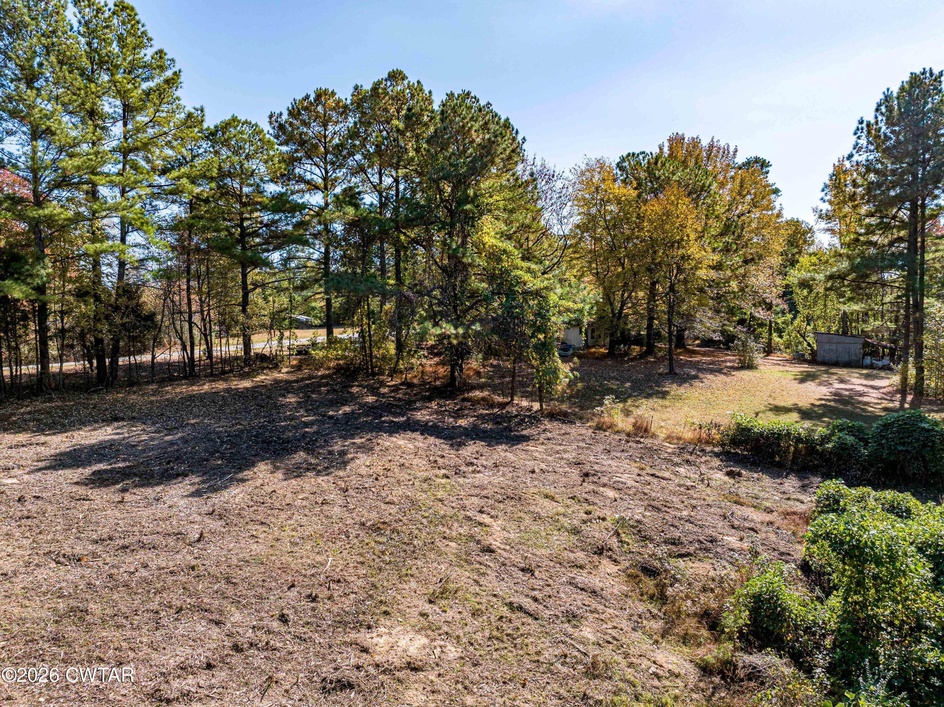 568 Baker Road Huntingdon, TN 38344 - Photo 12 of 21 a view of dirt yard with a large tree