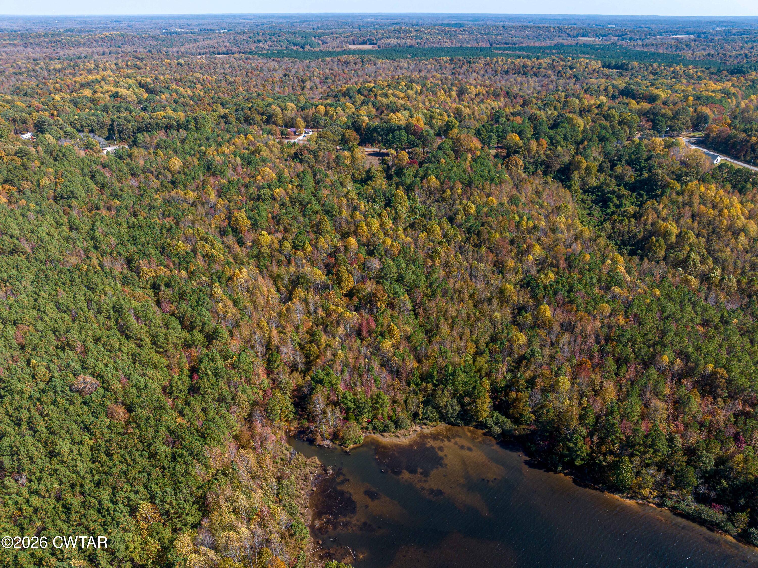 568 Baker Road Huntingdon, TN 38344 - Photo 6 of 21 an aerial view of forest
