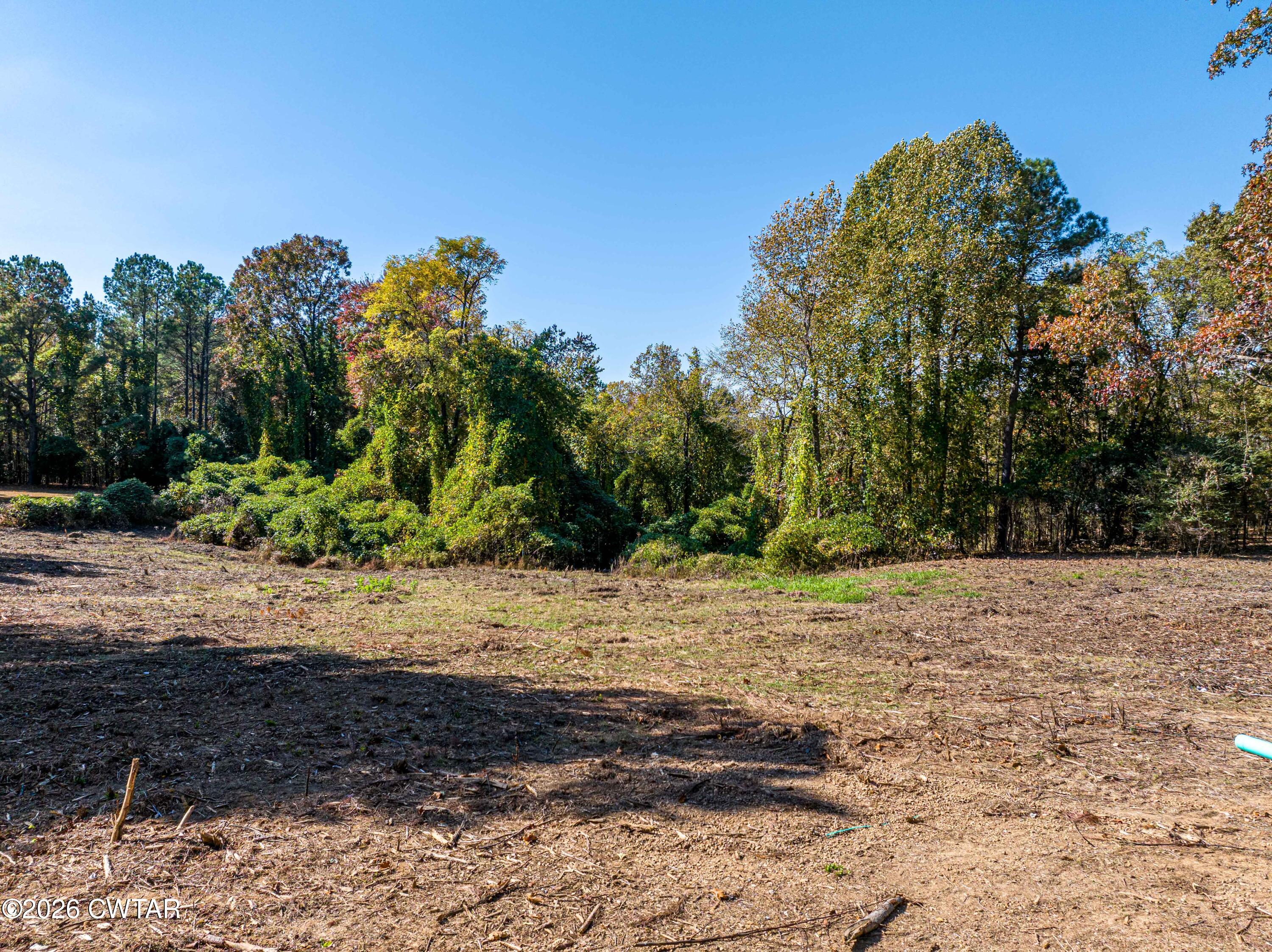 568 Baker Road Huntingdon, TN 38344 - Photo 10 of 21 a wooden bench with view of trees