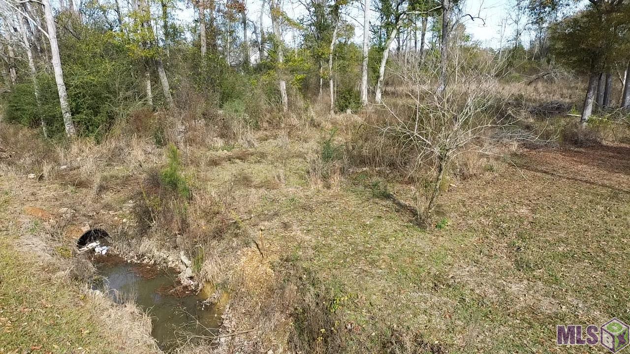 Lot 7 East Horseshoe Road Amite, LA 70422 - Photo 2 of 9 Gallery Image 2