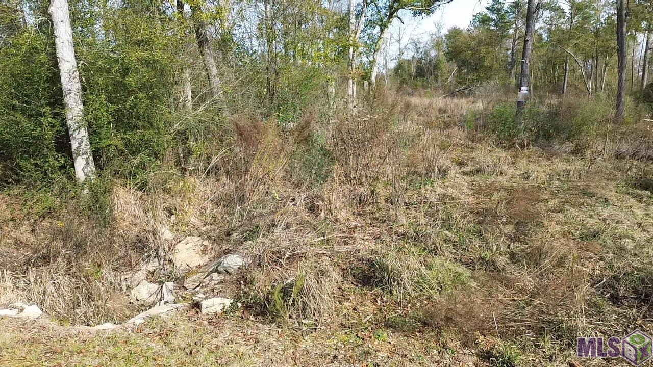 Lot 7 East Horseshoe Road Amite, LA 70422 - Photo 3 of 9 Gallery Image 3