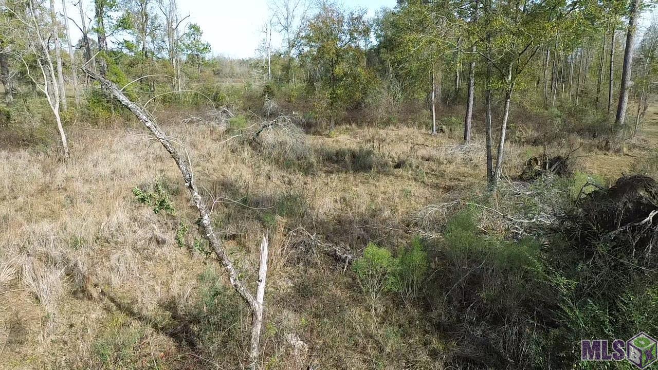 Lot 7 East Horseshoe Road Amite, LA 70422 - Photo 4 of 9 Gallery Image 4