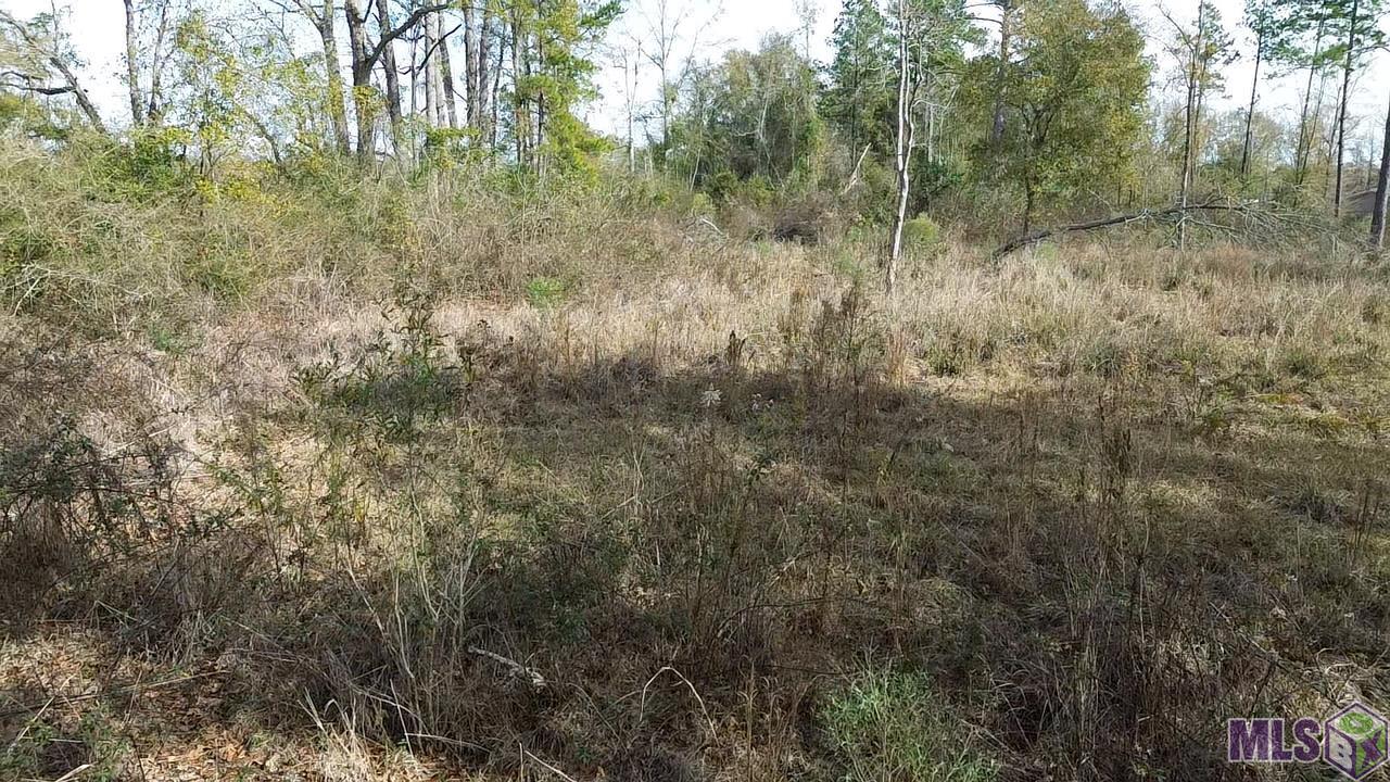 Lot 7 East Horseshoe Road Amite, LA 70422 - Photo 5 of 9 Gallery Image 5