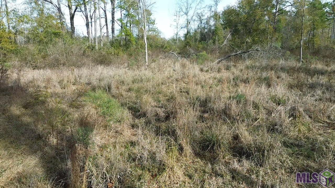 Lot 7 East Horseshoe Road Amite, LA 70422 - Photo 6 of 9 Gallery Image 6