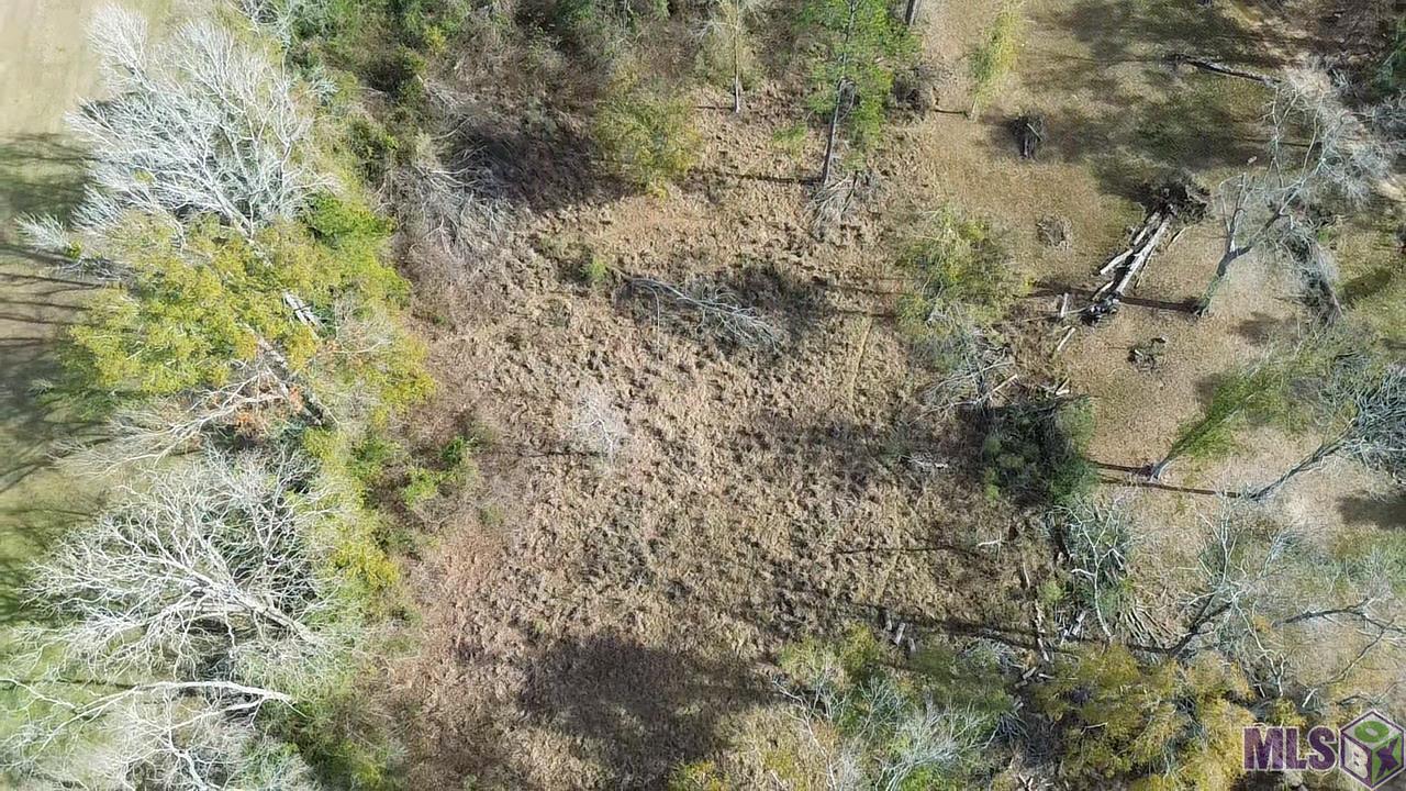 Lot 7 East Horseshoe Road Amite, LA 70422 - Photo 8 of 9 Gallery Image 8