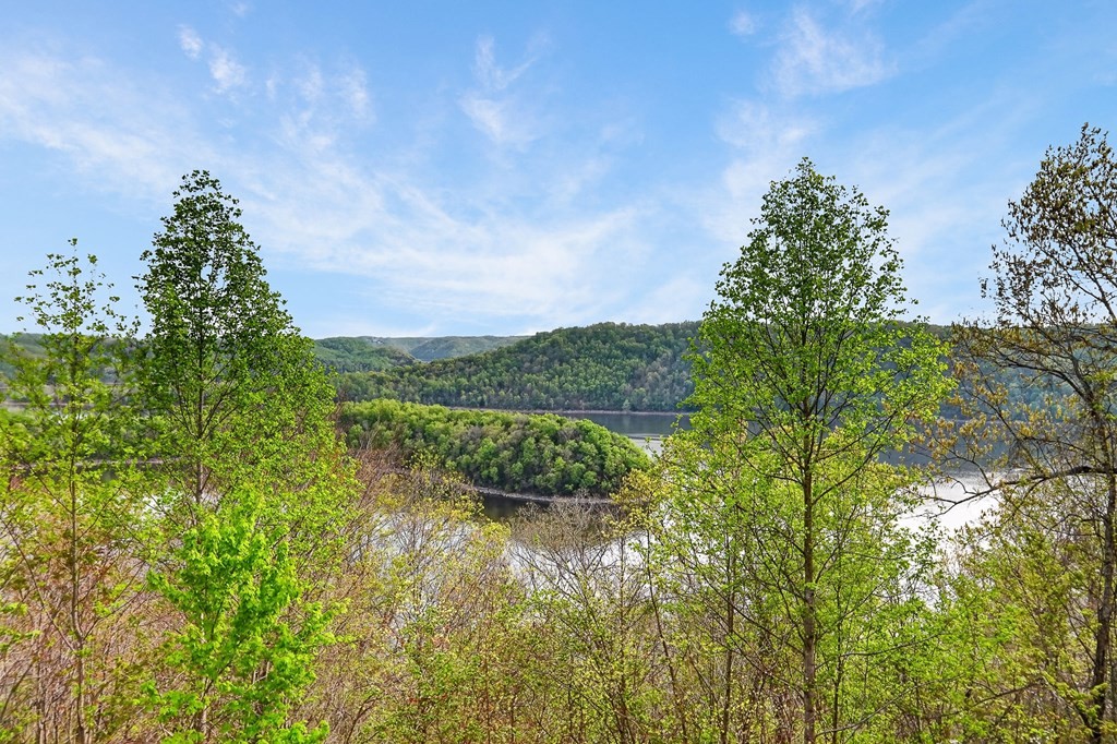 1853 Lafever Ridge Road Silver Point, TN 38582 - Photo 24 of 83