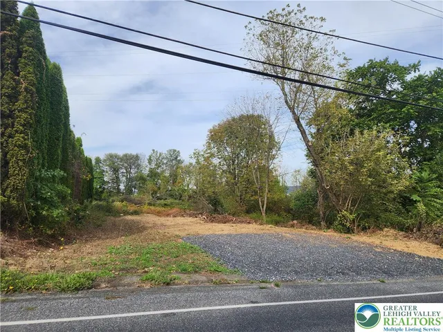 a view of a yard and a car parked on the road