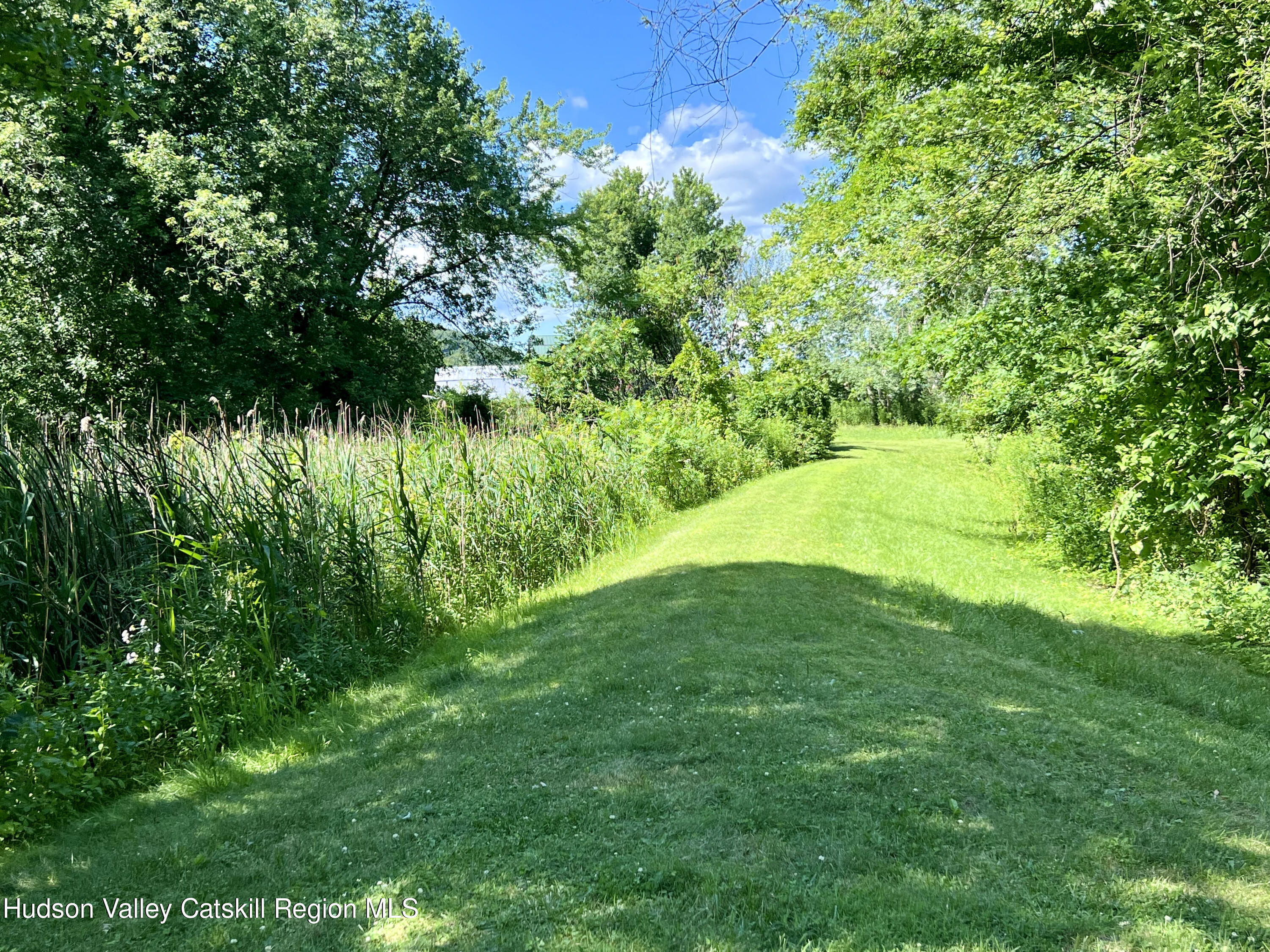 320 Sawkill Road Kingston, NY 12401 - Photo 10 of 45 a view of yard with green space