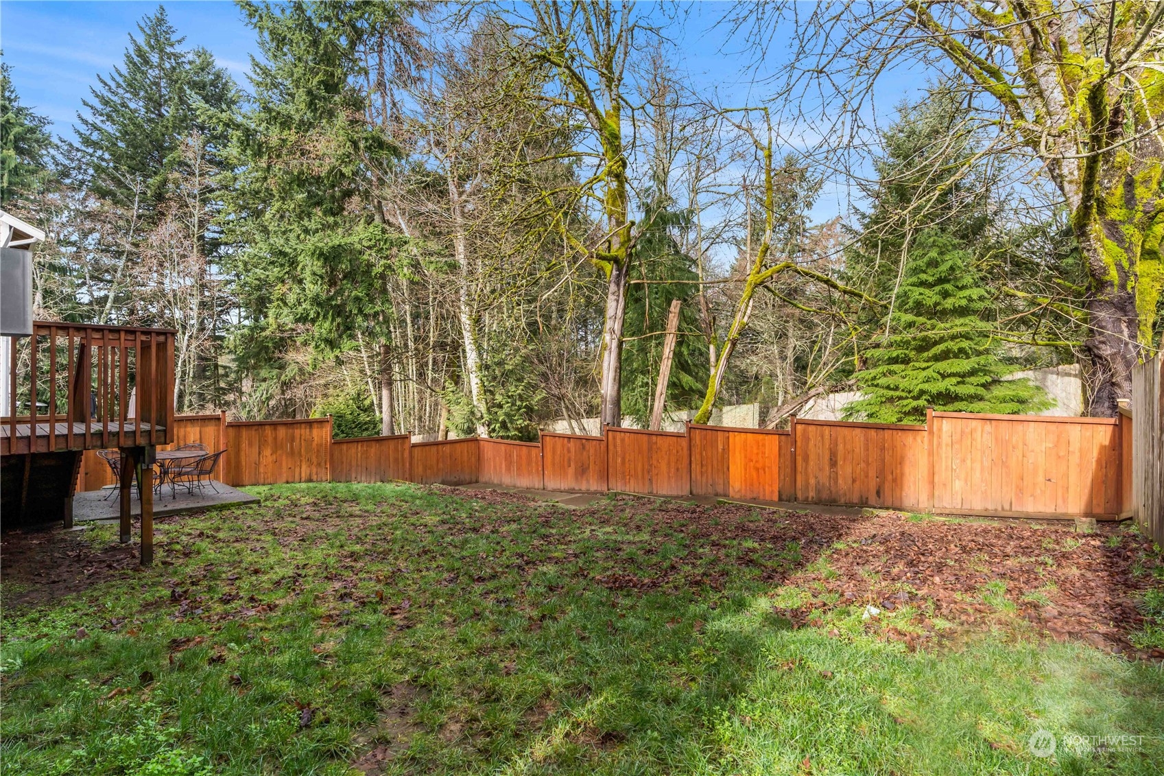 8226 Racca Court Southeast Olympia, WA 98513 - Photo 28 of 40 a view of a yard