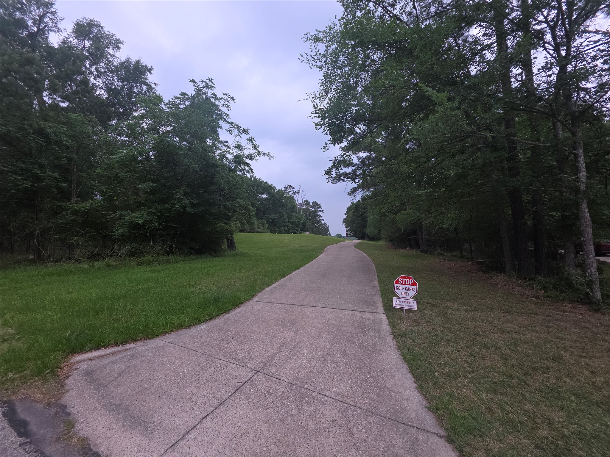 22468 Pebble Beach Way Point Blank, TX 77364 - Photo 5 of 22