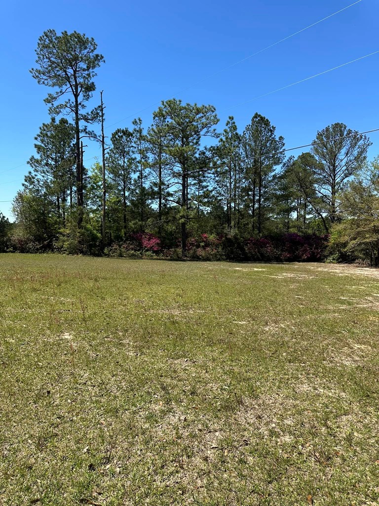 3858 Old Atmore Road Flomaton, AL 36441 - Photo 10 of 42