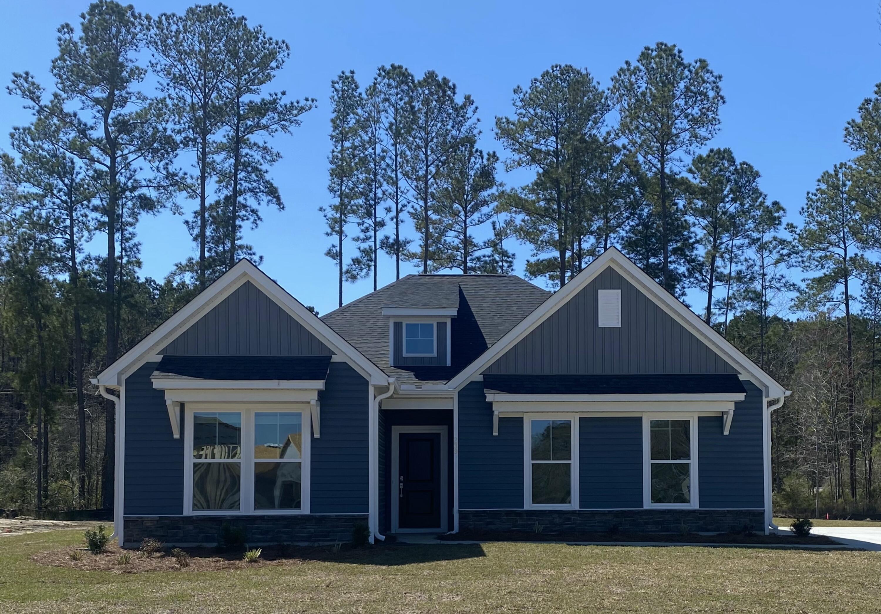 239 Darby Mdw Lane Ridgeville, SC 29472 - Photo 3 of 3 TL138 Pic (Townsend D)