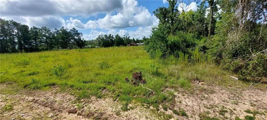0 Guillott Road Dequincy, LA 70633 - Photo 1 of 3 Gallery Image 1