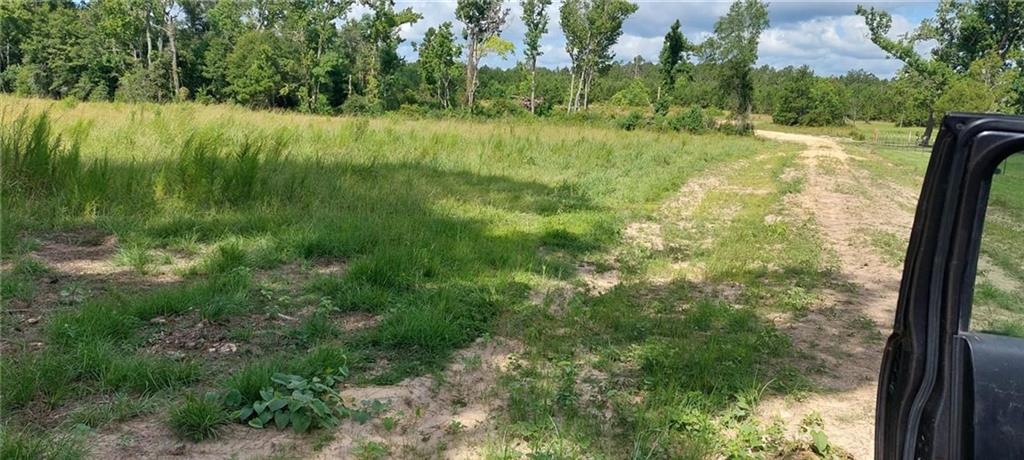 0 Guillott Road Dequincy, LA 70633 - Photo 2 of 3 Gallery Image 2